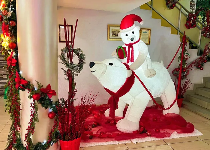 Hotel Internacional De Colon